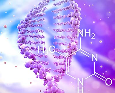 Methylation Webinar