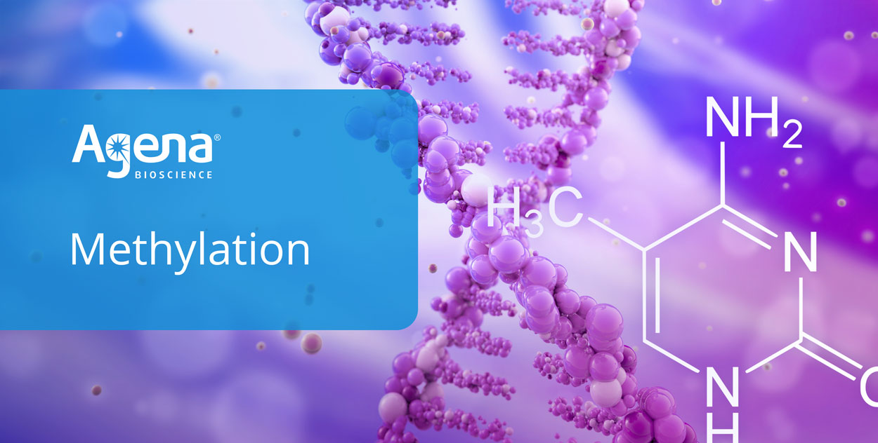 agena bioscience careers agena bioscience careers