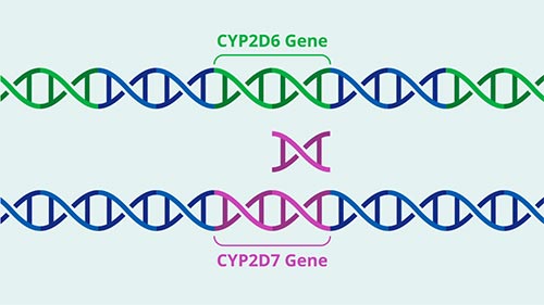 欧洲的DPYD基因分型