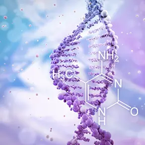 Methylation Test