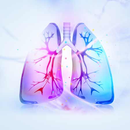 Webinar EGFR molecular genetic testing in NSCLC