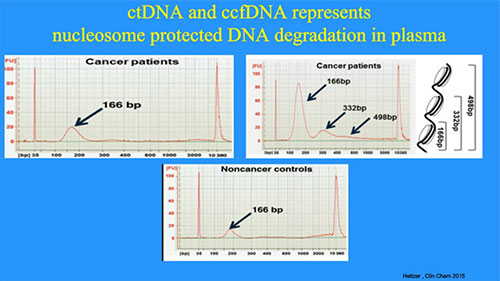 Agena Biosciene Webinar - Schuuring