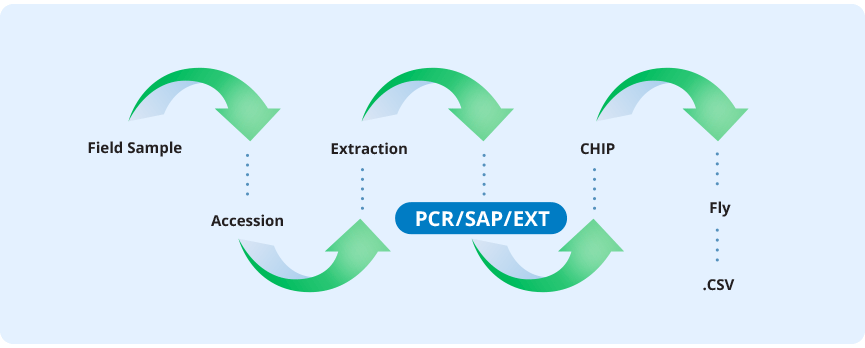 SARS-CoV-2 Processing Schema