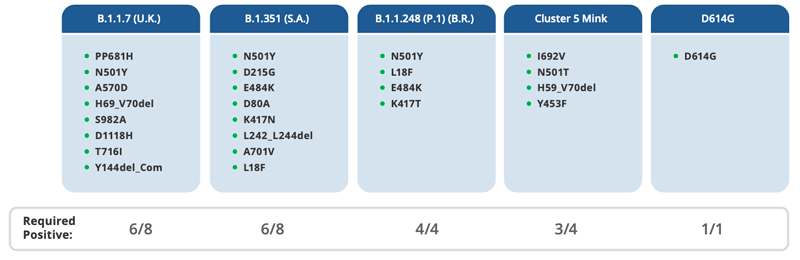 Variant Calling Summary