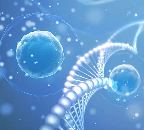 Liquid Biopsy Webinar