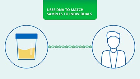 DNA 匹配