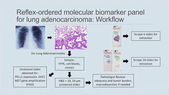 Video on molecular panel biomarker workflow