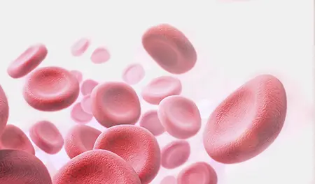 Blood cells
