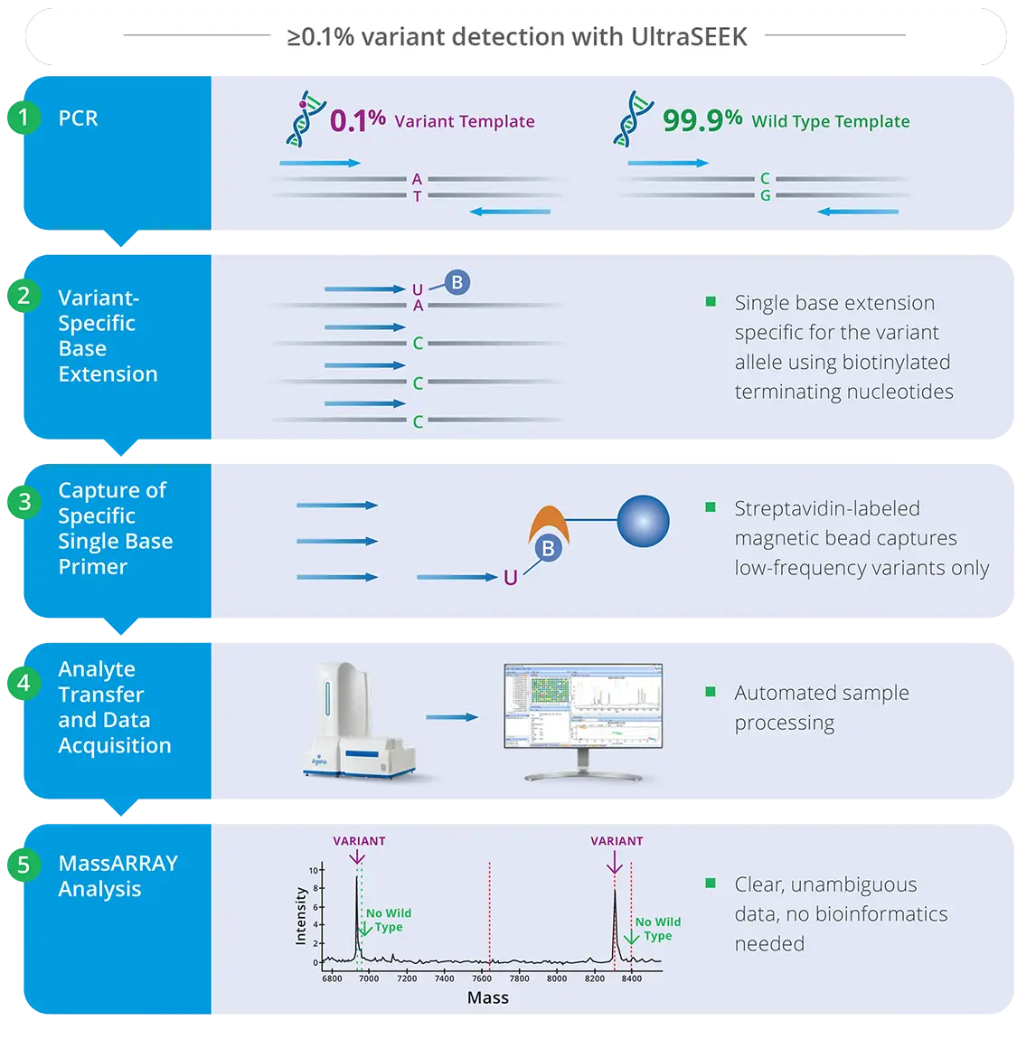 MALDI-TOF UltraSeek DNA analysis workflow